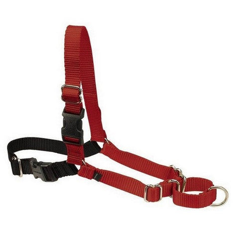 PetSafe, PetSafe Easy Walk Dog Harness, Black/Red,  1 Each / Small