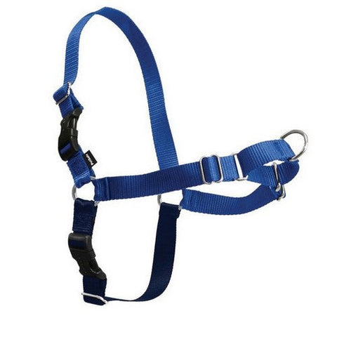 PetSafe, PetSafe Easy Walk Dog Harness, Royal Blue/Navy,  1 Each / Small