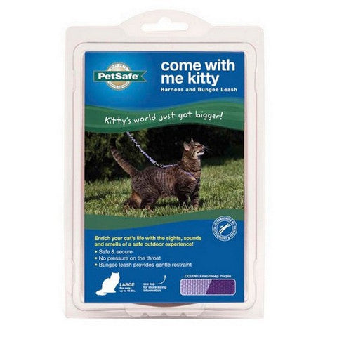 PetSafe, PetSafe Premier Come With Me Kitty Harness & Bungee Leash Combo, Lilac/Deep Purple,  Large