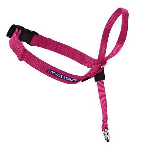 PetSafe, PetSafe Headcollar No-Pull Dog Collar, Raspberry,  Large