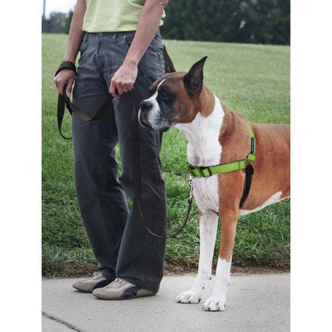 PetSafe, PetSafe Deluxe Easy Walk Steel Dog Harness, Black/Apple,  Large
