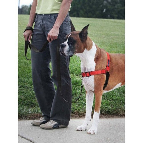 PetSafe, PetSafe Deluxe Easy Walk Steel Dog Harness, Black/Rose,  Medium/Large