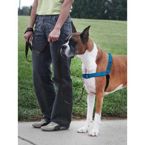 PetSafe, PetSafe Deluxe Easy Walk Steel Dog Harness, Black/Ocean,  Large