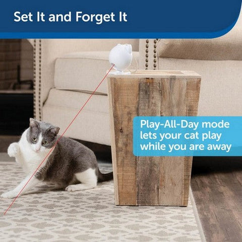 PetSafe, PetSafe Dancing Dot Laser Cat Toy, 1 Each