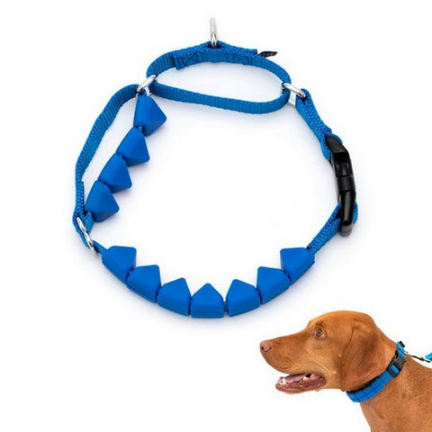 PetSafe, PetSafe Soft Point Training Collar, 3/4in wide, Royal Blue,  Medium