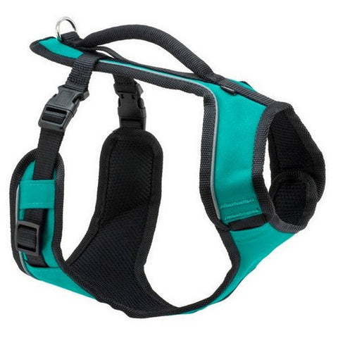 EasySport, EasySport Comfortable Dog Harness, Teal,  Large