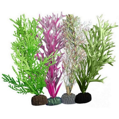 Weco, Weco Products Marine Plant 109 Assorted Multipack, 1 Each