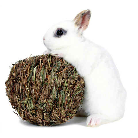 Marshall, Marshall Pet Products Woven Grass Play Ball for Small Animals, 1 Each / Light Green