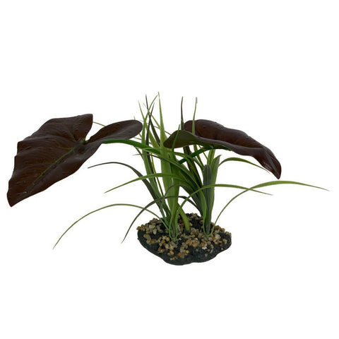 Komodo, Komodo Rainforest Canopy Plant, 1 Each / 10 Inches