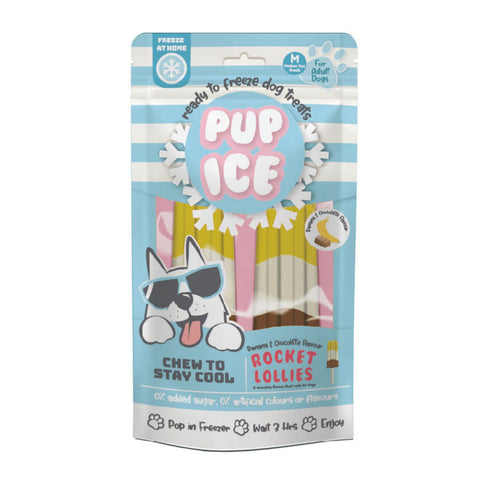 Spot, Spot Pup Ice Dog Chew Treat, Rocket Lollie, Banana & Chocolate,  2 Pack