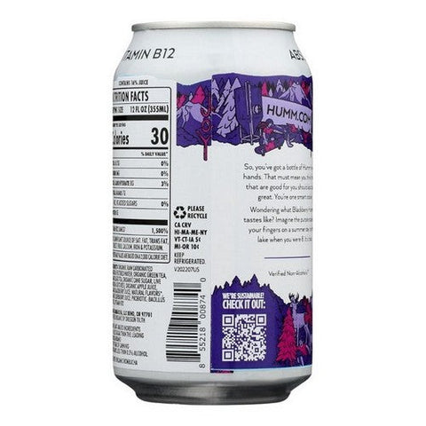 Humm Kombucha, Blackberry Probiotic Kombucha, 12 Oz (Case Of 6)