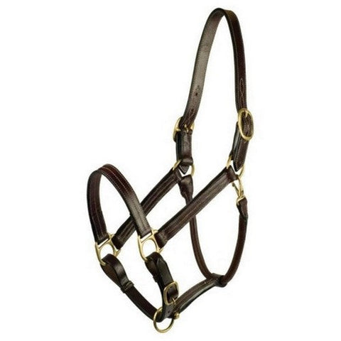 Gatsby, Gatsby Premium Adjustable Triple Stitched Halter, OVERSIZE,Havana