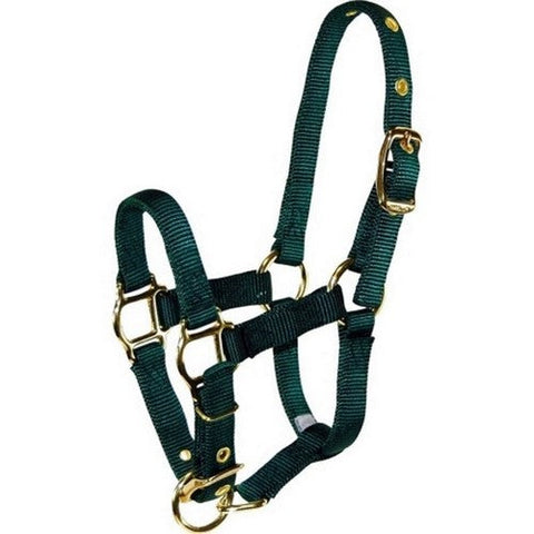 Hamilton, Hamilton Adjustable Miniature Horse Halter, 1 / AVG,Hunter Green