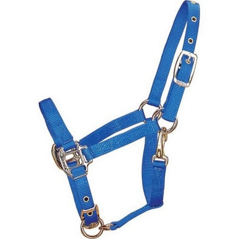 Hamilton, Hamilton Adjustable Chin Halter W/Snap, 1 / Weanling,Blue