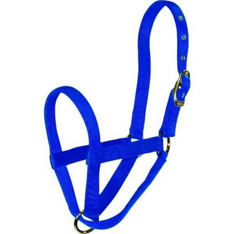 Hamilton, Hamilton Turnout Halter, 1 /Calf,Blue