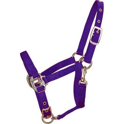 Hamilton, Hamilton Adjustable Chin Halter W/Snap, 1 Each / Pony,Purple