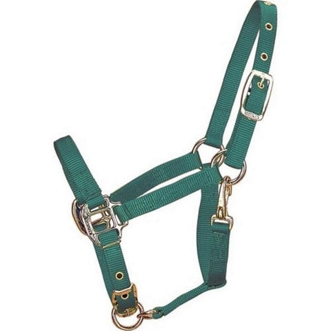 Hamilton, Hamilton Adjustable Chin Halter W/Snap, 1 Each, Pony,Hunter Green