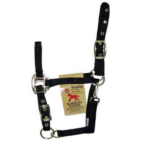 Hamilton, Hamilton Adjustable Chin Halter W/Snap, 1 / Weanling,Black