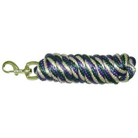 Hamilton, Hamilton Poly Lead W/Bolt Snap, 1 Each, 10 Feet,Green Stripe