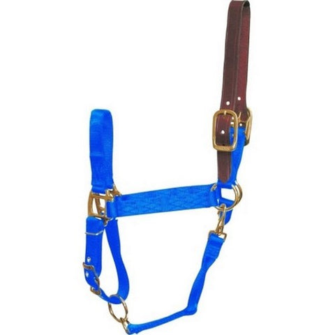 Hamilton, Hamilton Adjustable Halter W/Leather Headpole, 1 Each, Small,Blue