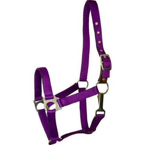 Gatsby, Gatsby Ultra Soft Nylon Safety Halter, Pony,Purple