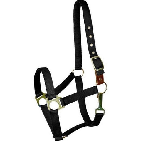Gatsby, Gatsby Ultra Soft Nylon Safety Halter, HORSE,Black