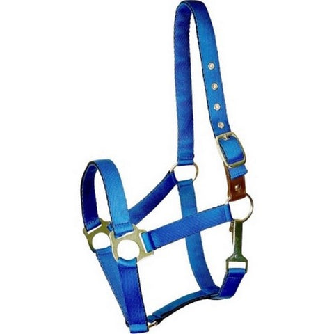 Gatsby, Gatsby Ultra Soft Nylon Safety Halter, HORSE,Royal Blue