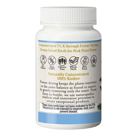 Eclectic Herb, American Bilberry, 400 mg, 60 vcaps